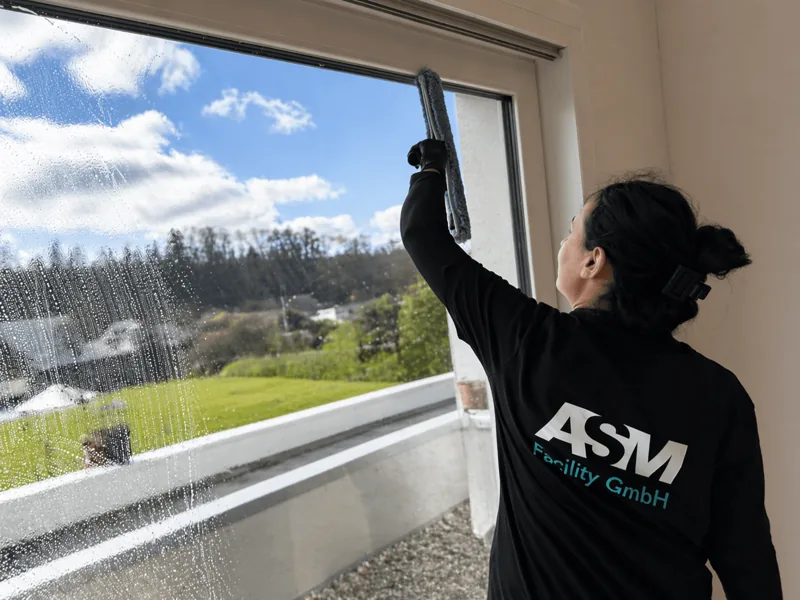Fensterreinigung: gereinigte Fensterfront von innen